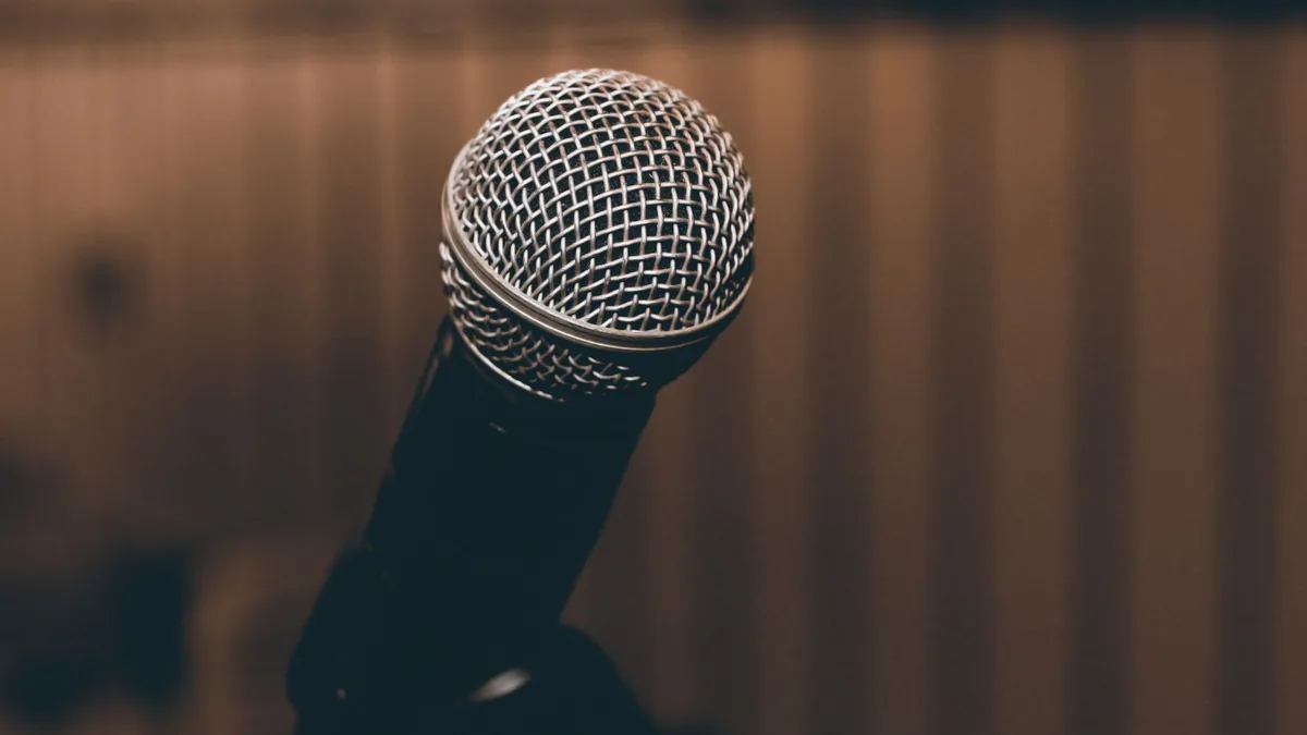 A focused shot of a microphone with a blurred background