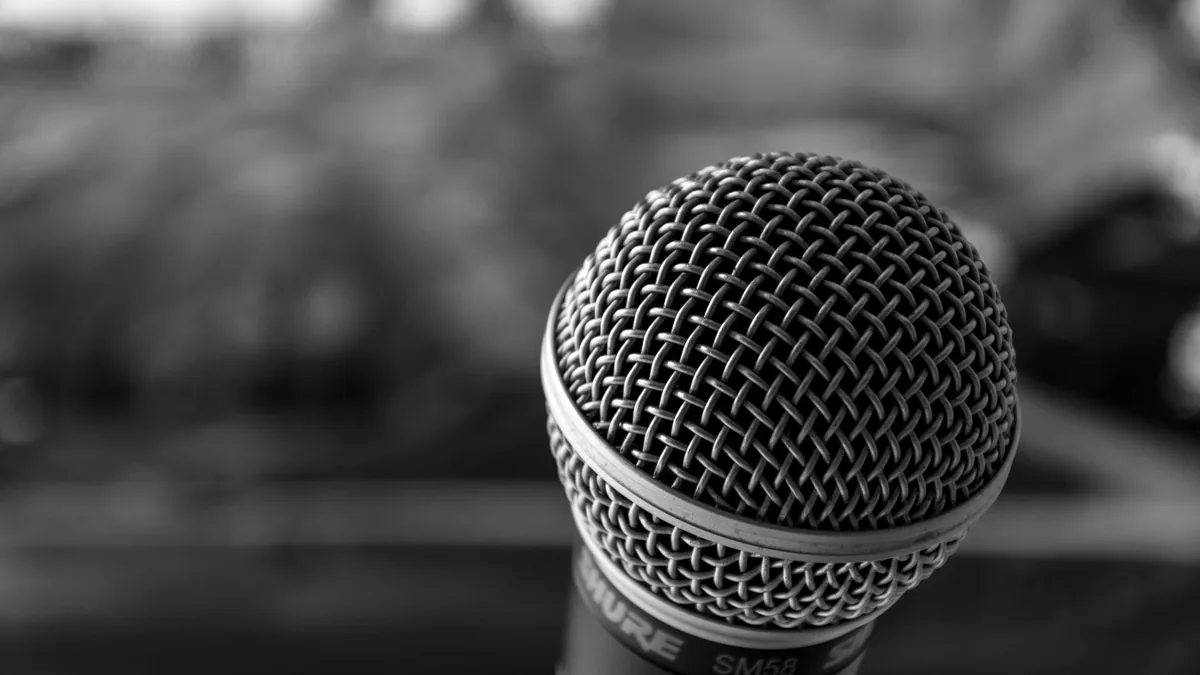 Artistic black and white close up of a dynamic microphon