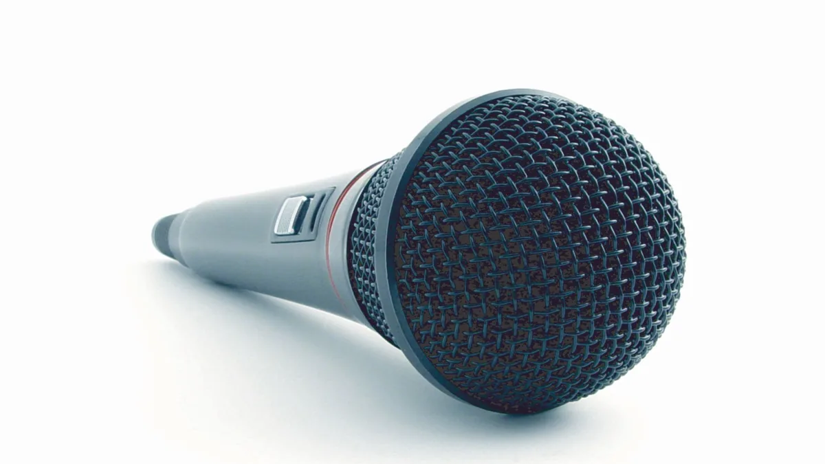 Close up of a condenser microphone illustrating sound re