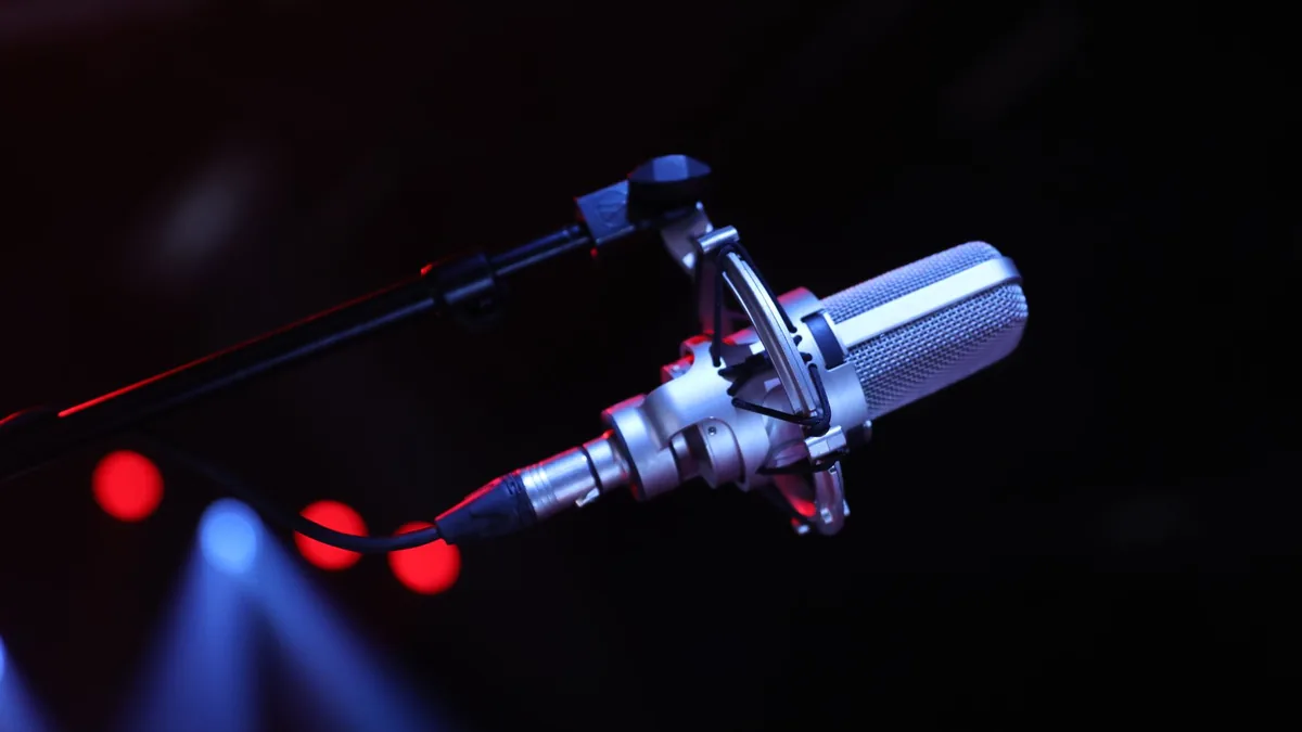 Close up of a professional microphone on a stage with vi