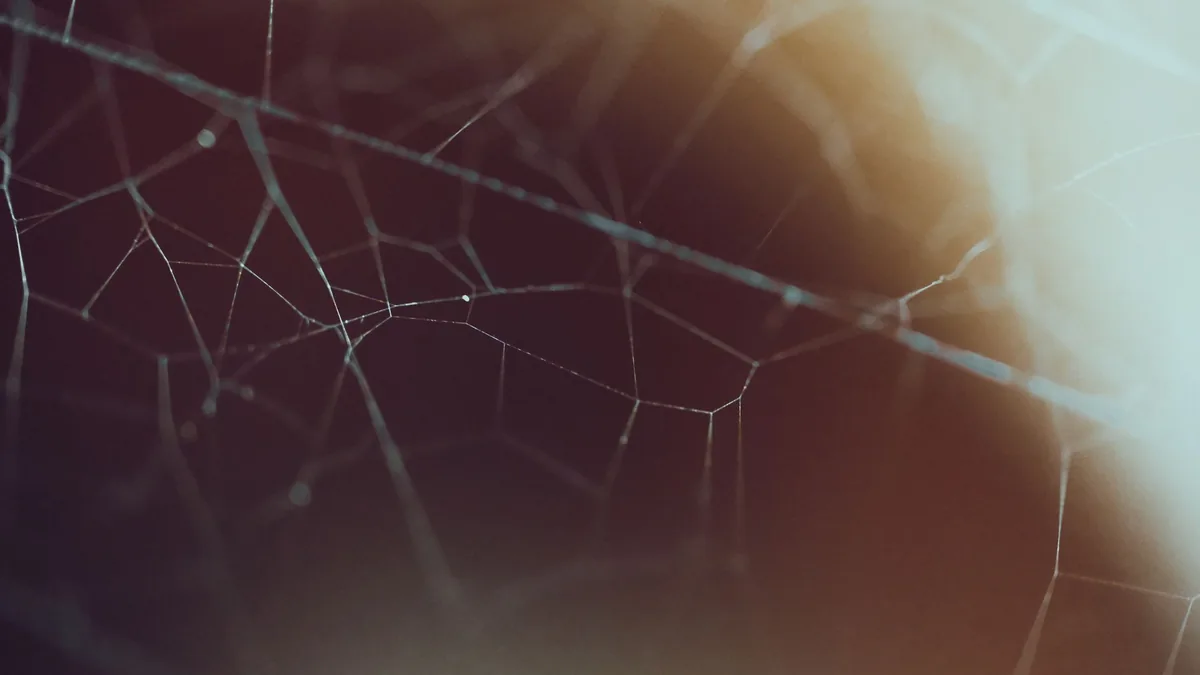 Detailed macro image of an intricate spider web with sof