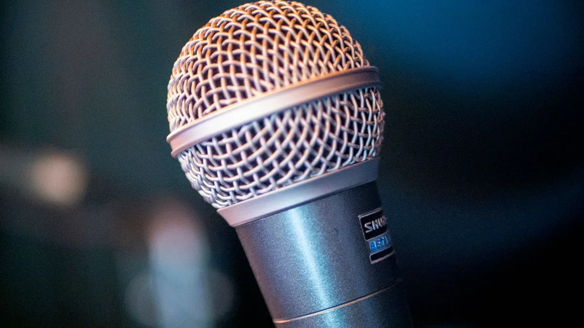 Detailed view of a performance microphone in an indoor s