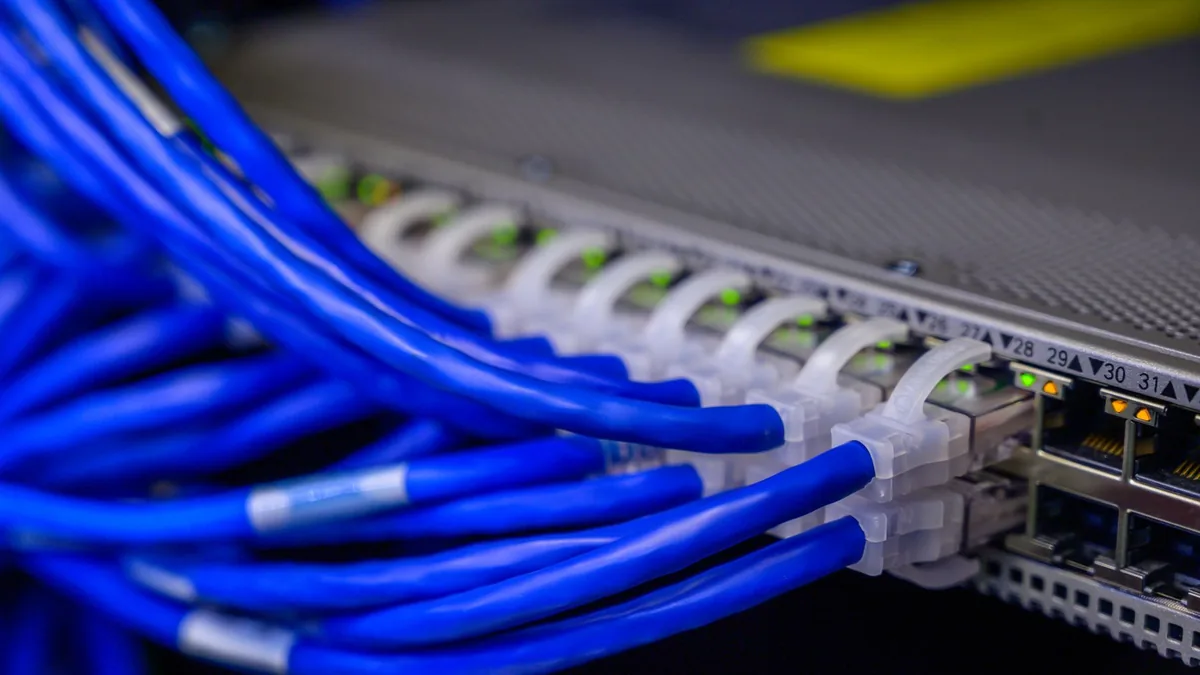 Detailed view of blue ethernet cables connected to a net