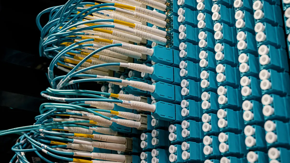 Sunucuya bağlanan fiber optik kablolar