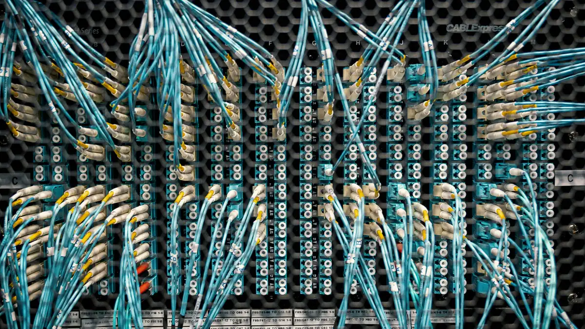 Overhead view of similar bright cables with plastic conn