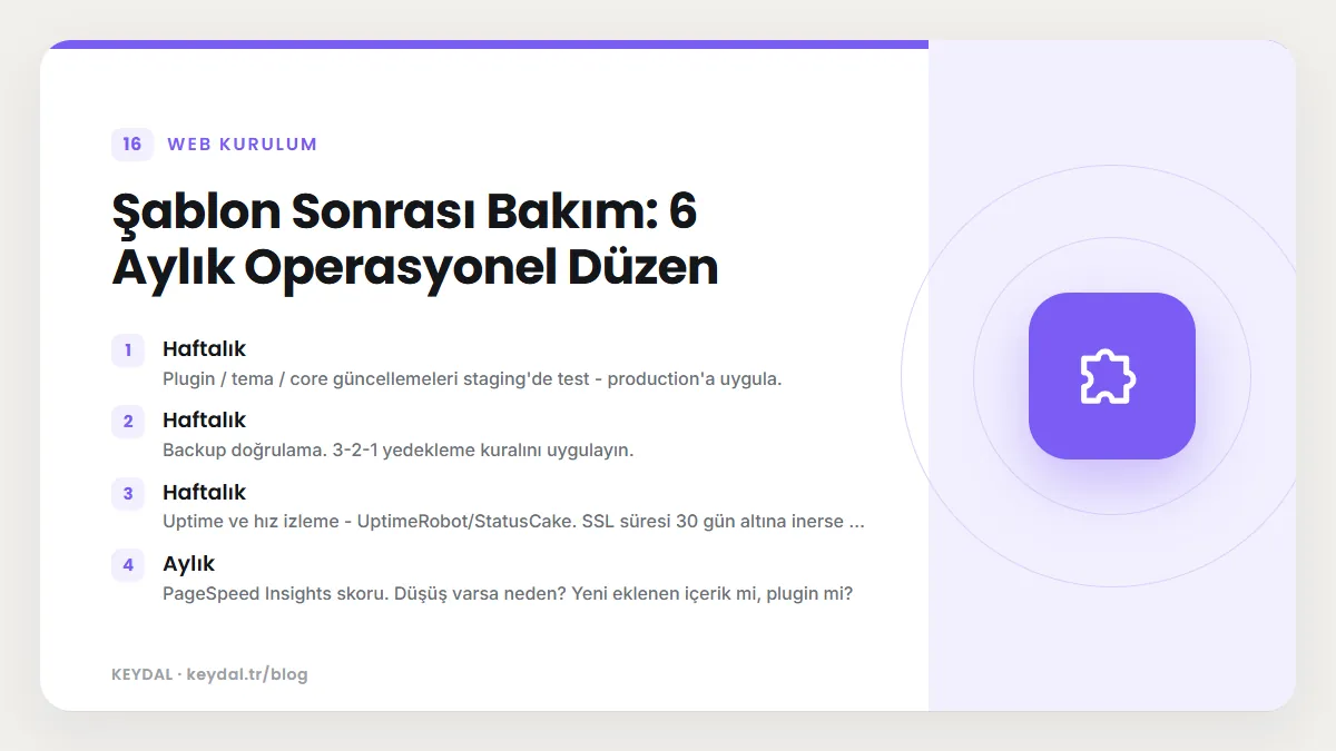 Şablon Sonrası Bakım: 6 Aylık Operasyonel Düzen: Haftalık, Haftalık, Haftalık, Aylık